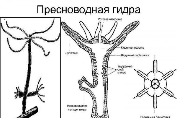 Кракен маркетплейс купить порошок